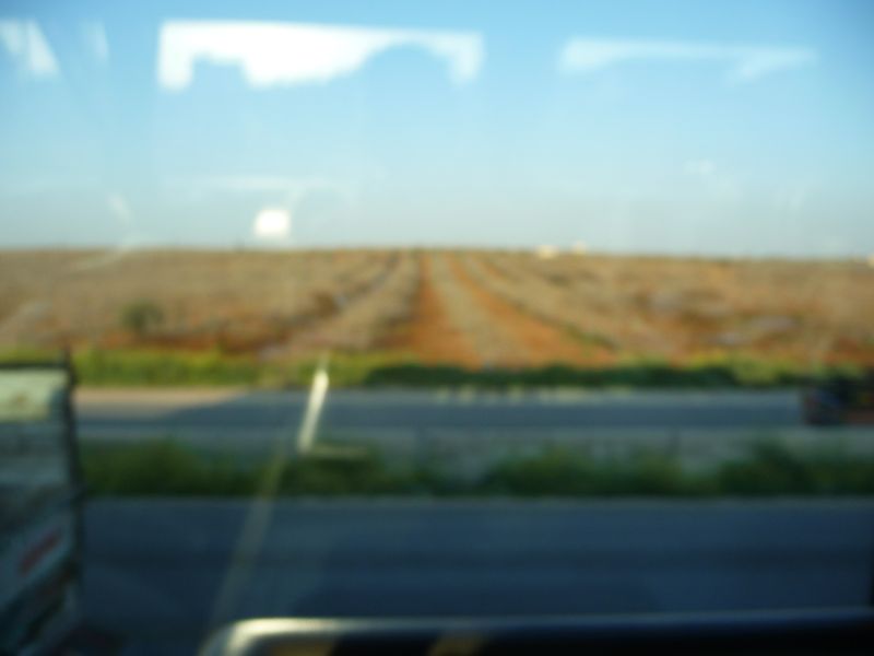 P1030087.JPG